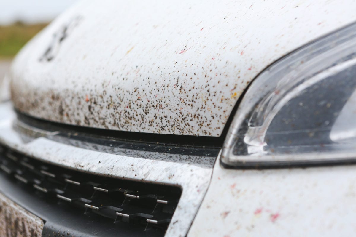 How to Protect Car Paint from the Hazards of Nature
