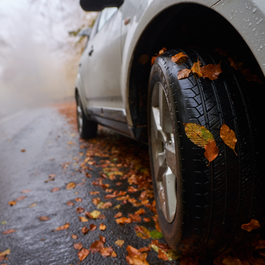 Image of car driving on leaf covered road